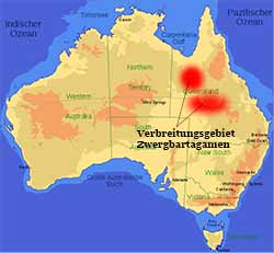 Zwergbartargame - Verbreitungsgebiet Zwergbartargame - Verbreitungsgebiet in Queensland, Australien