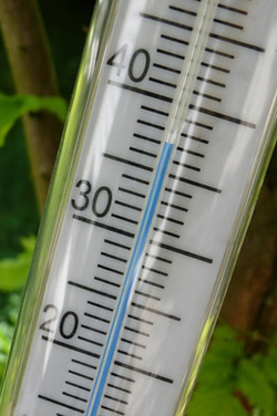 Thermometer und Thermostat im Terrarium